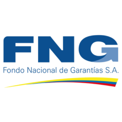FNG SA