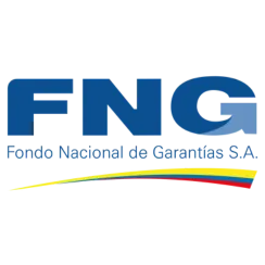 FNG SA