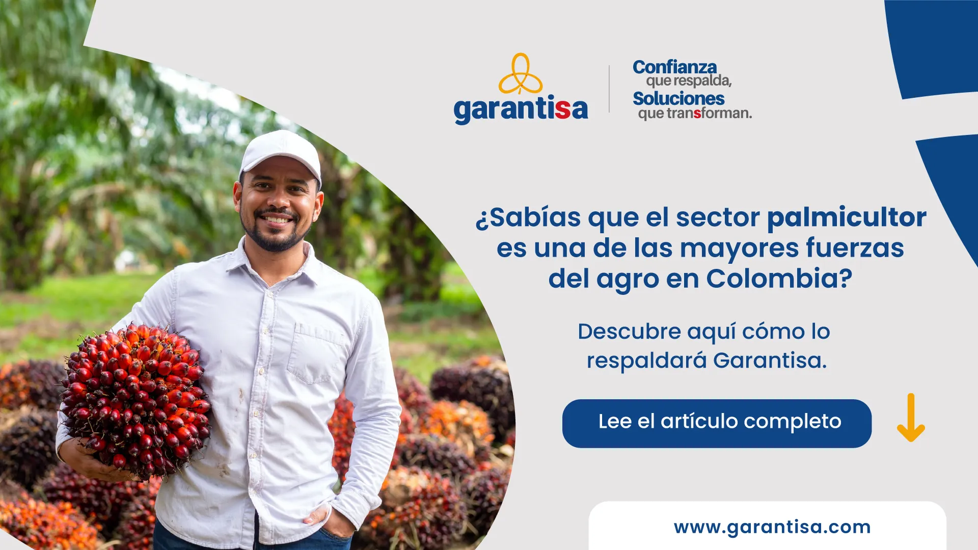 Garantisa, el respaldo estratégico que impulsará el sector palmicultor en Santander y Colombia